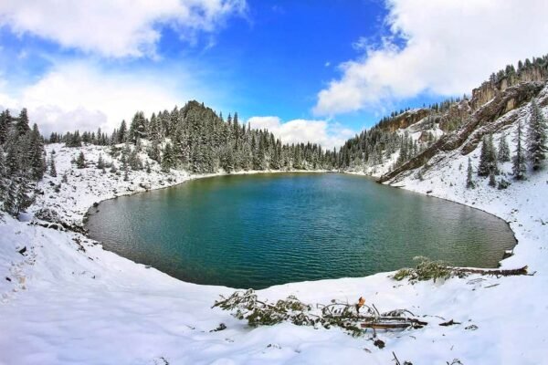 469534929_1136252818502920_321310029168778905_n